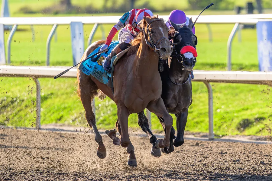 Emerging Market winning the Louisiana Derby